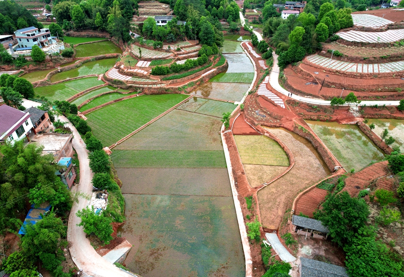 江安縣高標(biāo)準(zhǔn)農(nóng)田建設(shè)項目.jpg