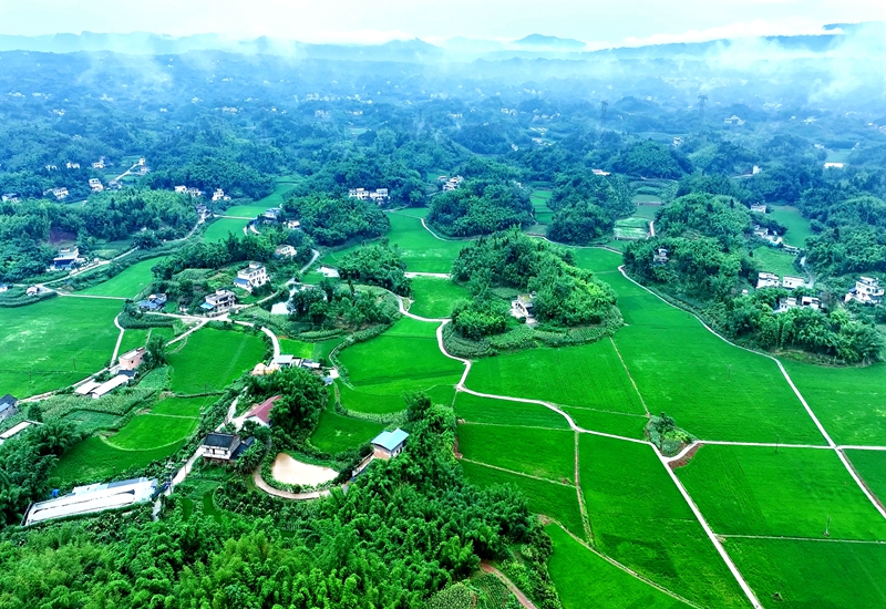 長(zhǎng)寧縣高標(biāo)準(zhǔn)農(nóng)田項(xiàng)目.jpg